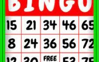 Bingo Numbers 2021 With Crack [Latest 2021] Free Download