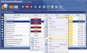 Ant Download Manager Pro 1.19.6 Build 74680 +Crack [Latest20021]Free Download